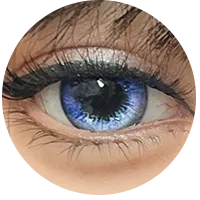 31.webp